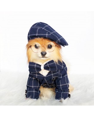 Pet British style suit