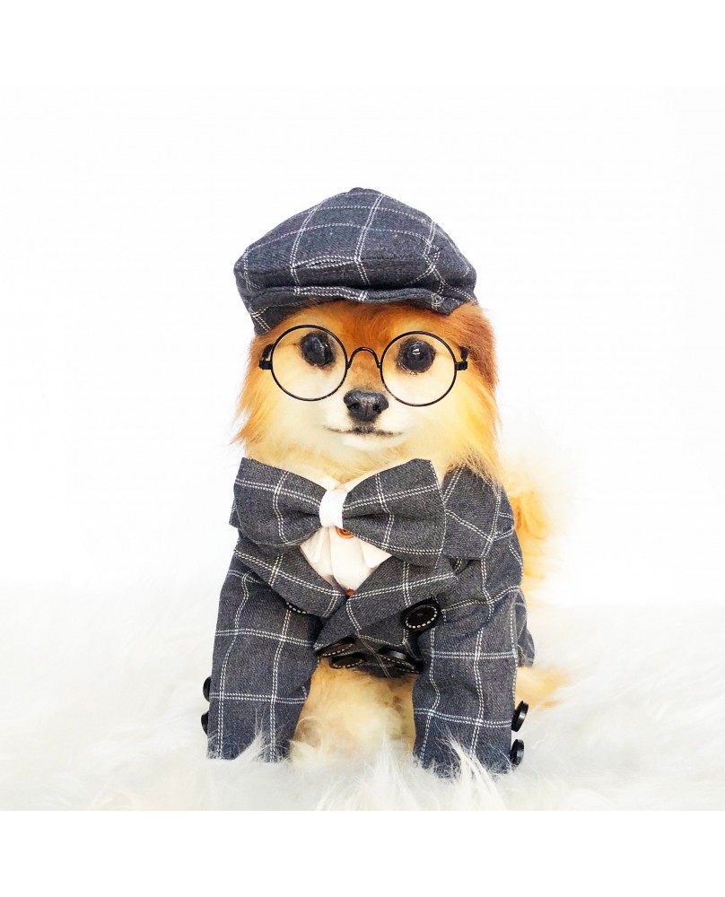 Pet British style suit