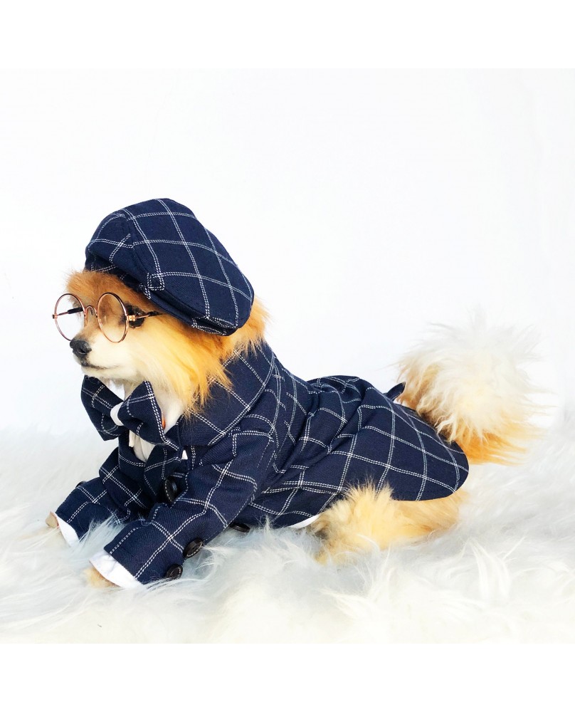 Pet British style suit
