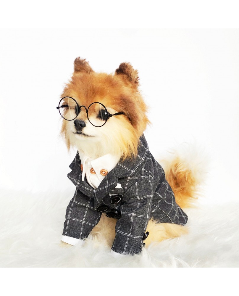 Pet British style suit