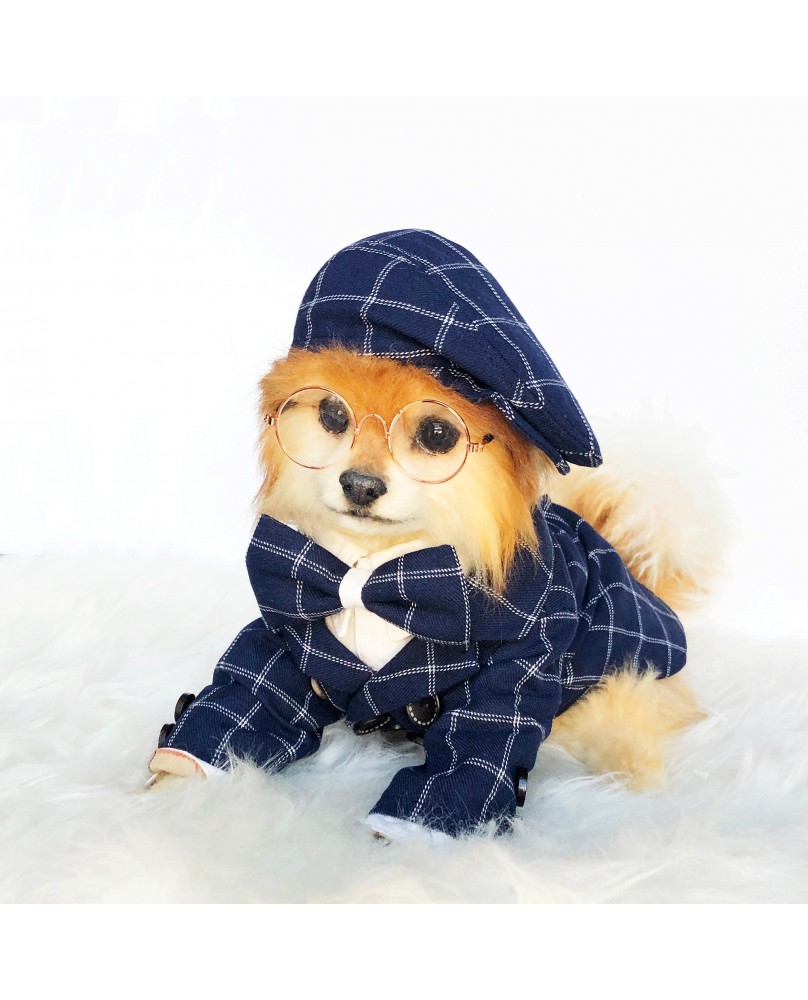 Pet British style suit