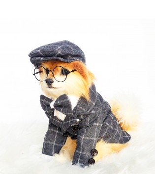 Pet British style suit