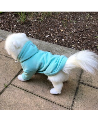 Pet hooded sweatshirt