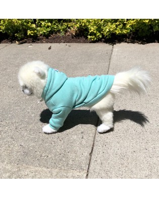 Pet hooded sweatshirt
