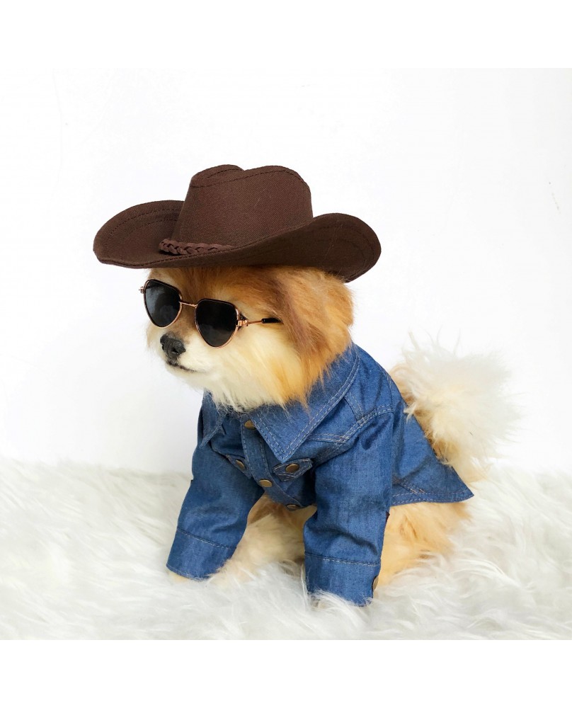 Pet Denim Jacket