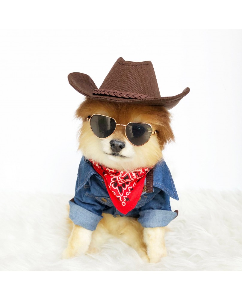 Pet Denim Jacket