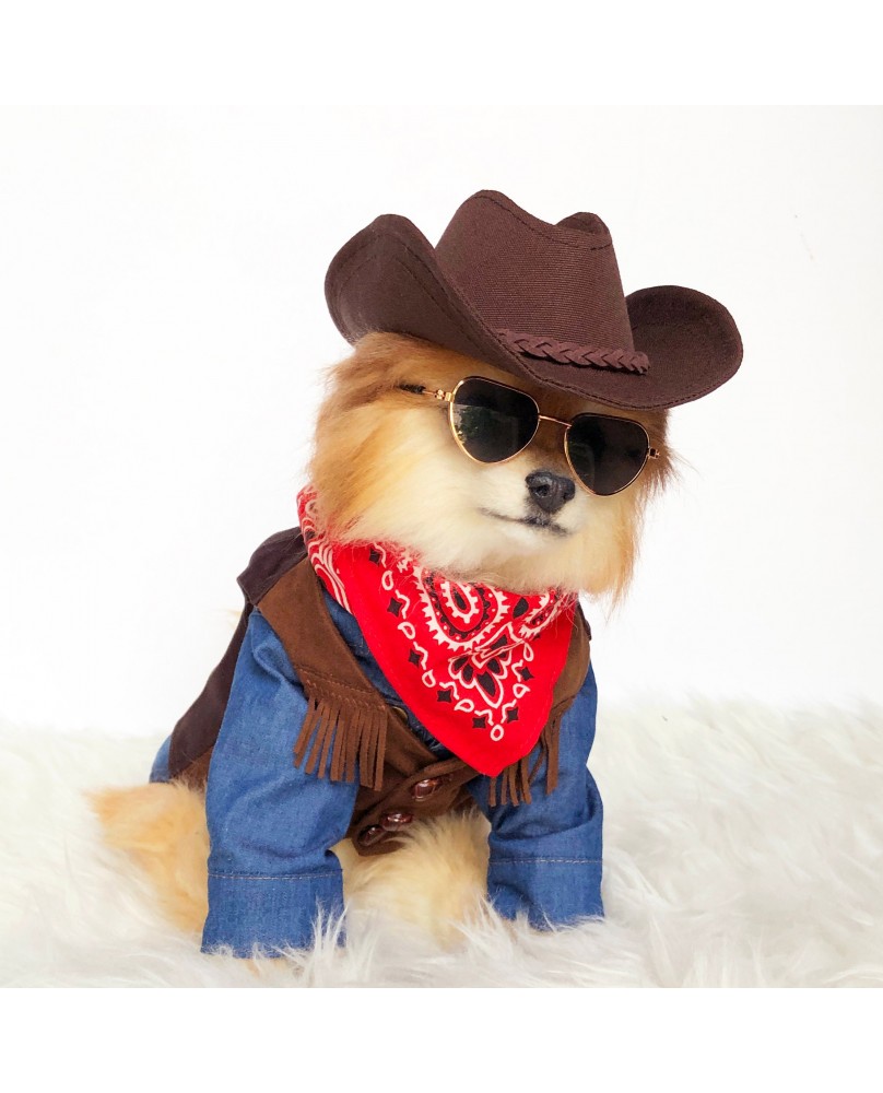 Pet Denim Jacket