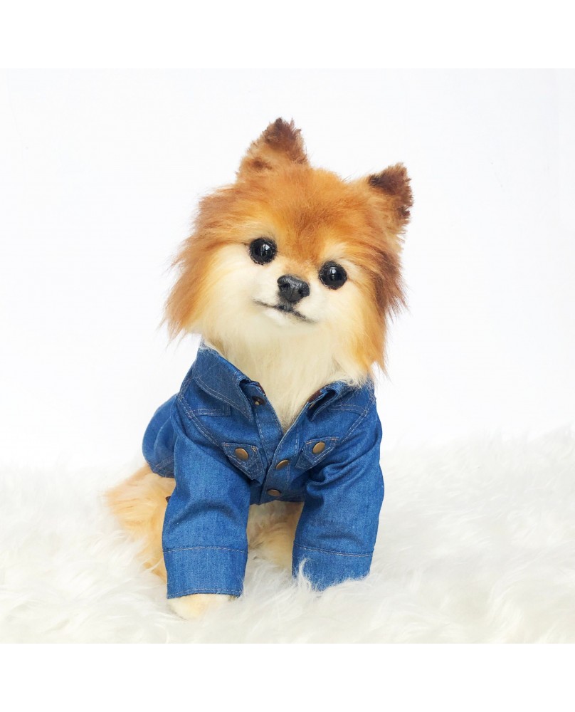 Pet Denim Jacket