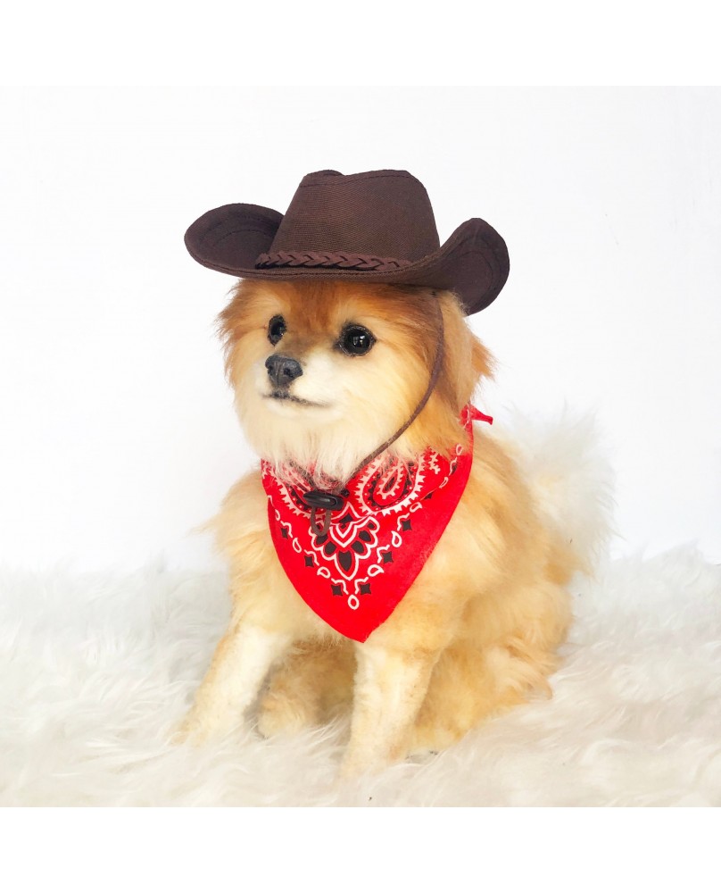 Pet cowboy hat