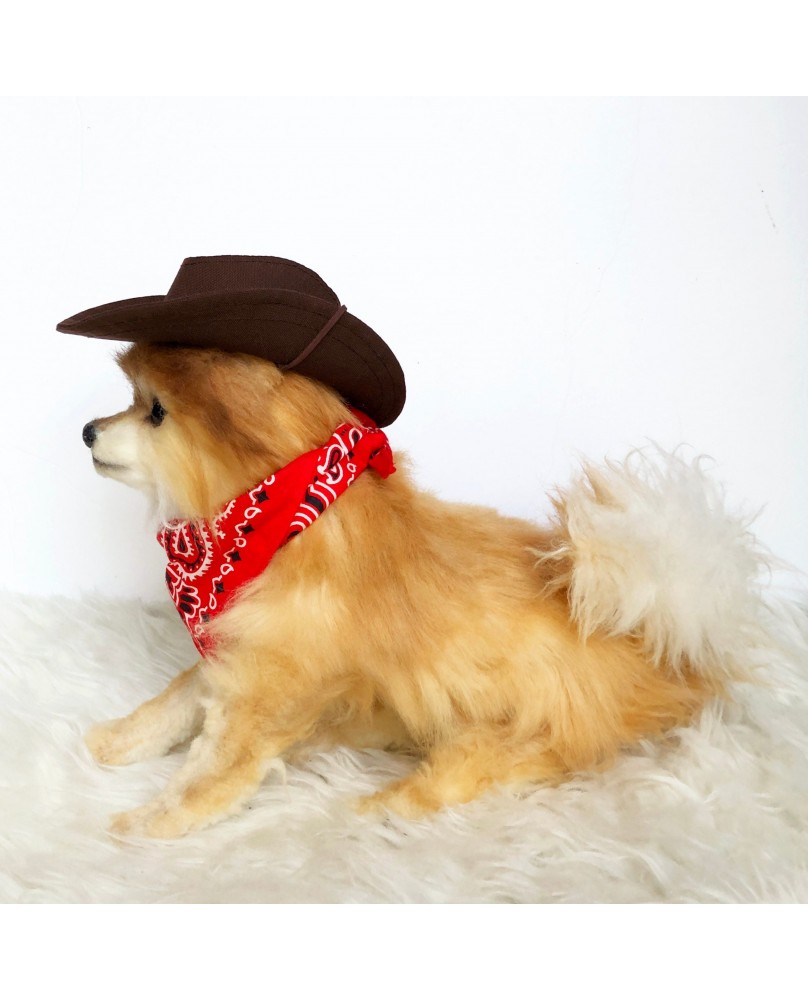 Pet cowboy hat