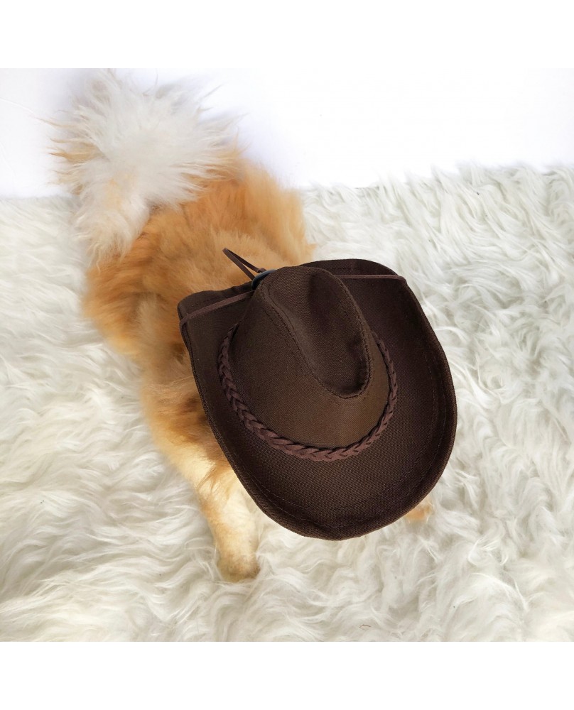 Pet cowboy hat