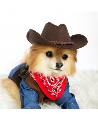Pet cowboy hat