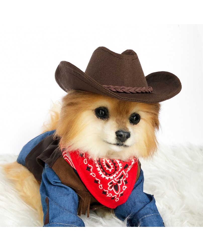 Pet cowboy hat