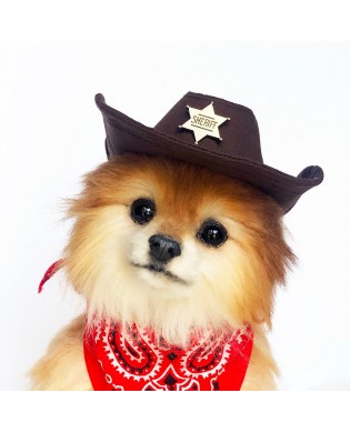 Pet cowboy hat