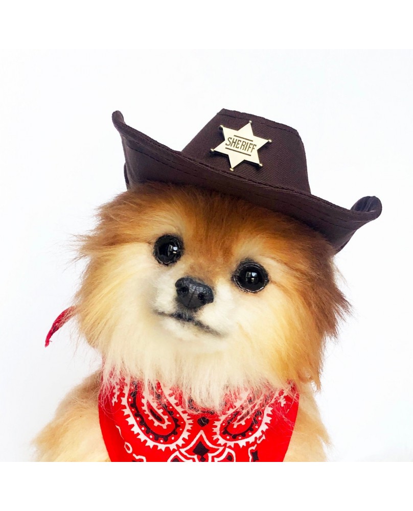 Pet cowboy hat