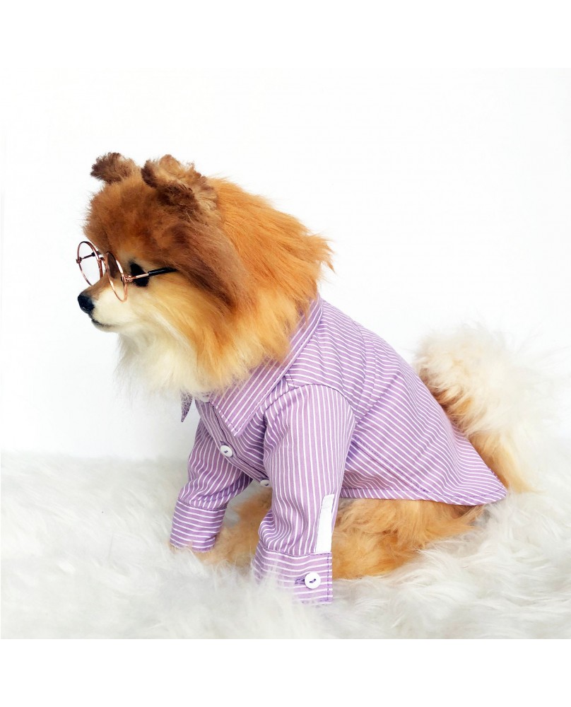 Pet Striped Shirt