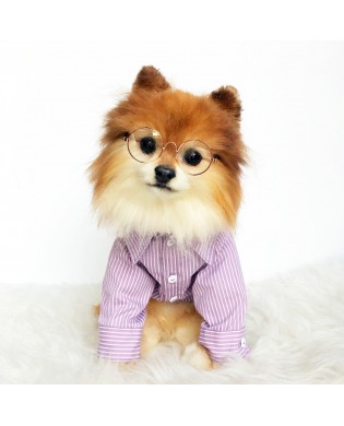 Pet Striped Shirt