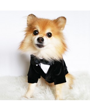 Pet Suit Dress