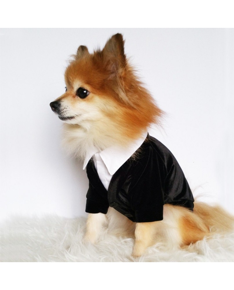 Pet Suit Dress