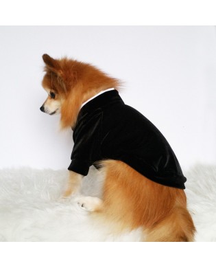 Pet Suit Dress