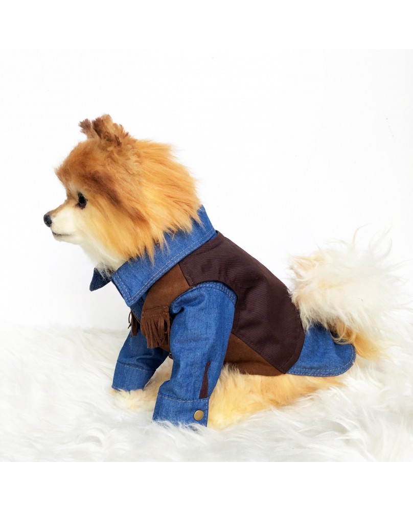 Vintage Pet Suede Fringe Vest
