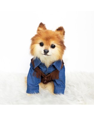 Vintage Pet Suede Fringe Vest