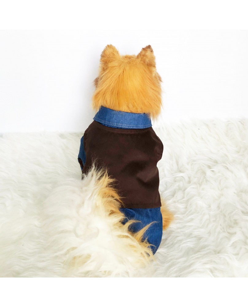Vintage Pet Suede Fringe Vest