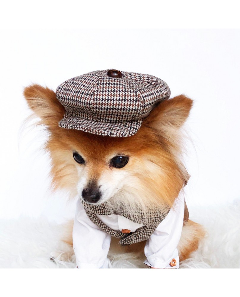 Retro British style pet set