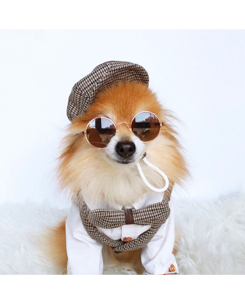 Retro British style pet set