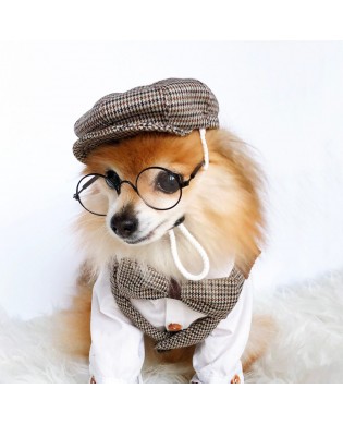 Retro British style pet set