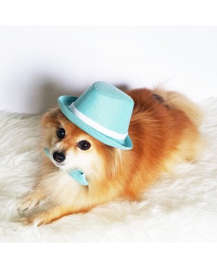 Pet Fashion Accessories Set