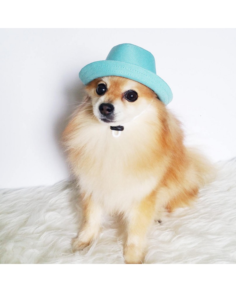 Pet Fashion Accessories Set