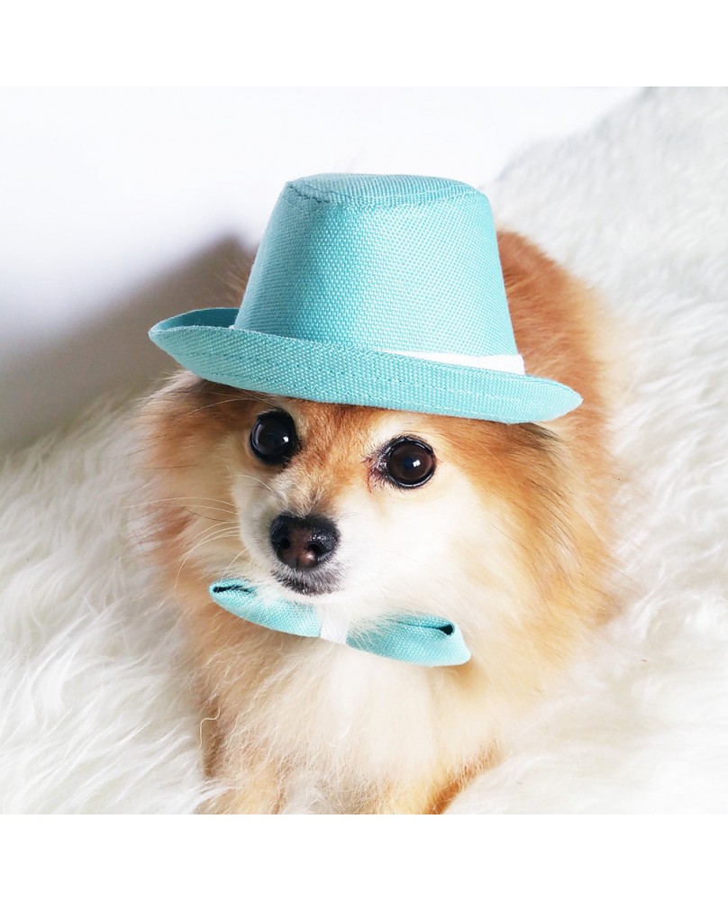 Pet Fashion Accessories Set