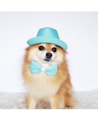 Pet Fashion Accessories Set
