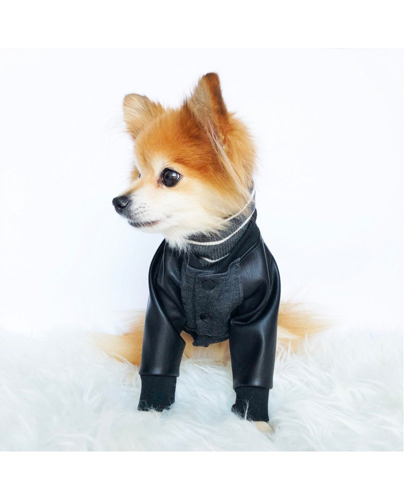 Pet trendy patchwork top