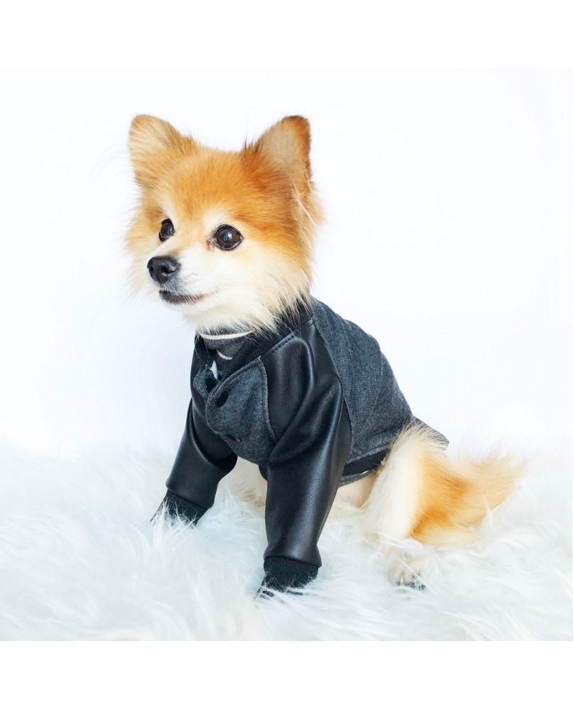 Pet trendy patchwork top