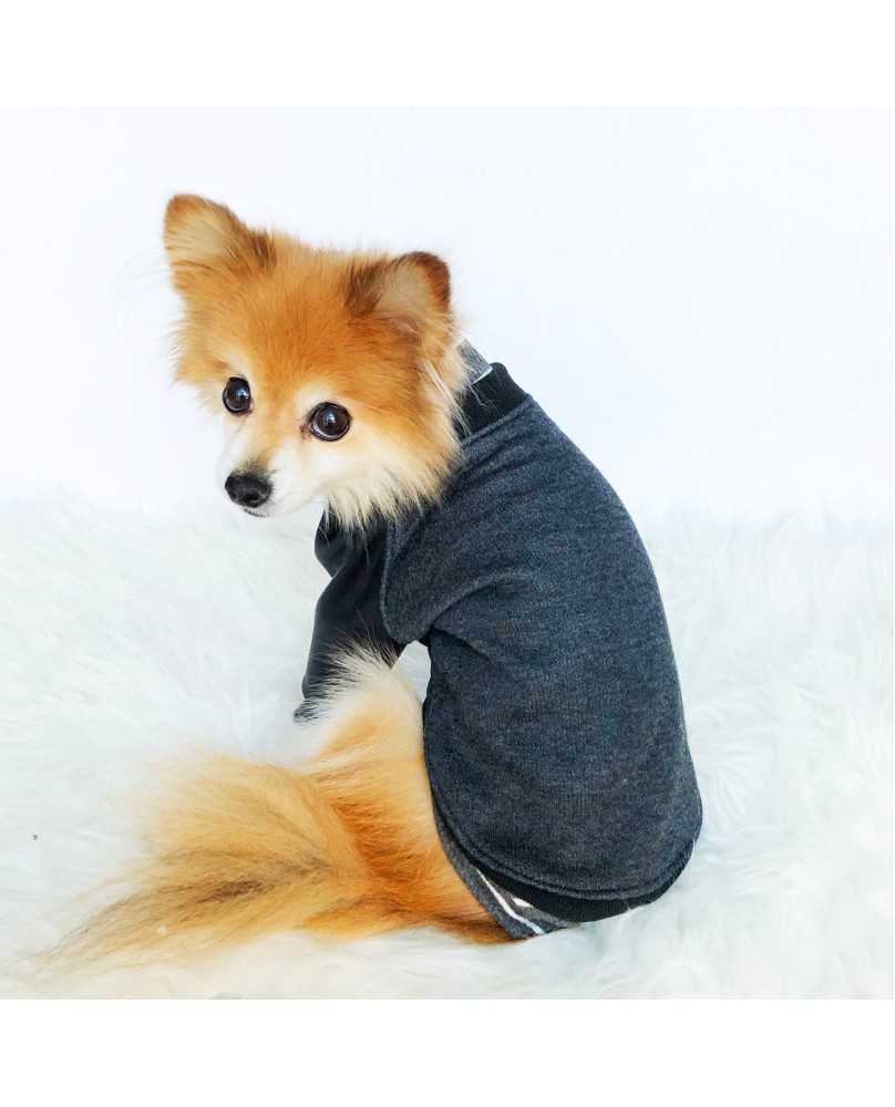 Pet trendy patchwork top