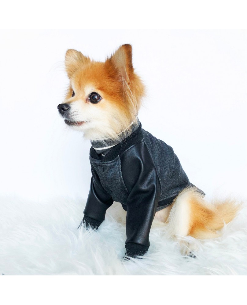 Pet trendy patchwork top