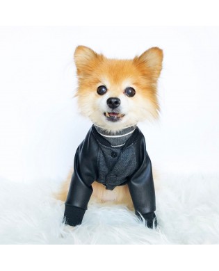 Pet trendy patchwork top
