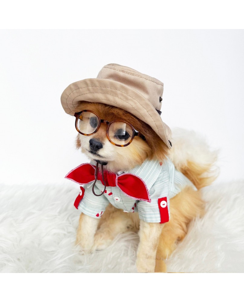 Pet Retro Detective Hat