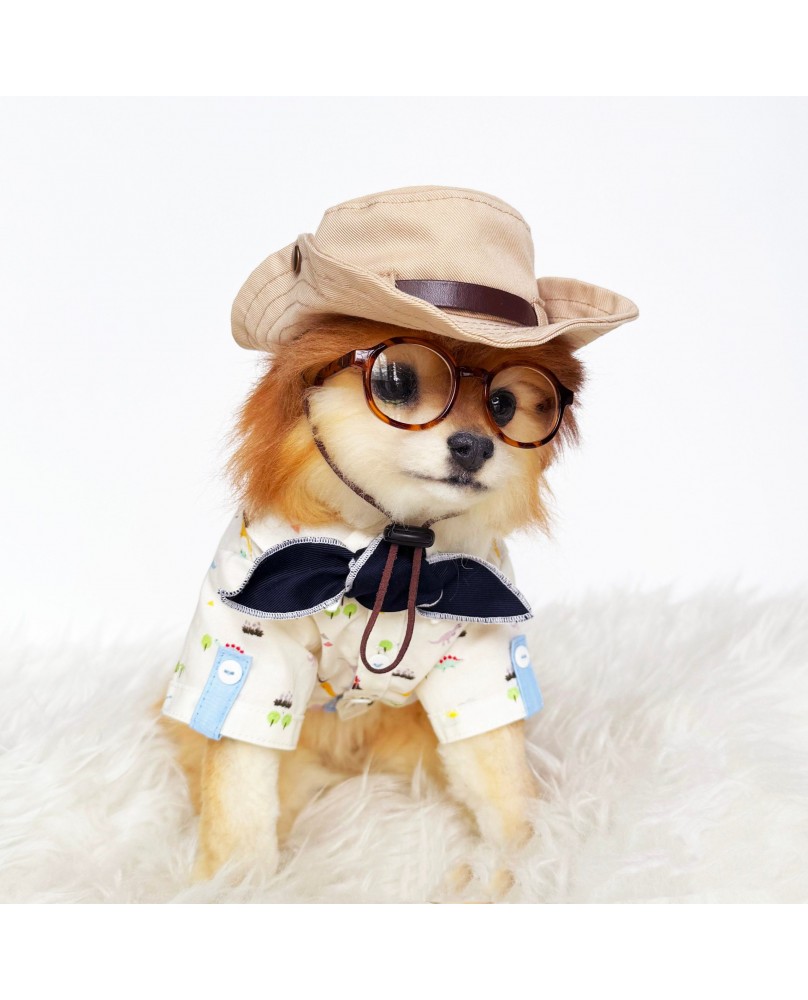 Pet Retro Detective Hat