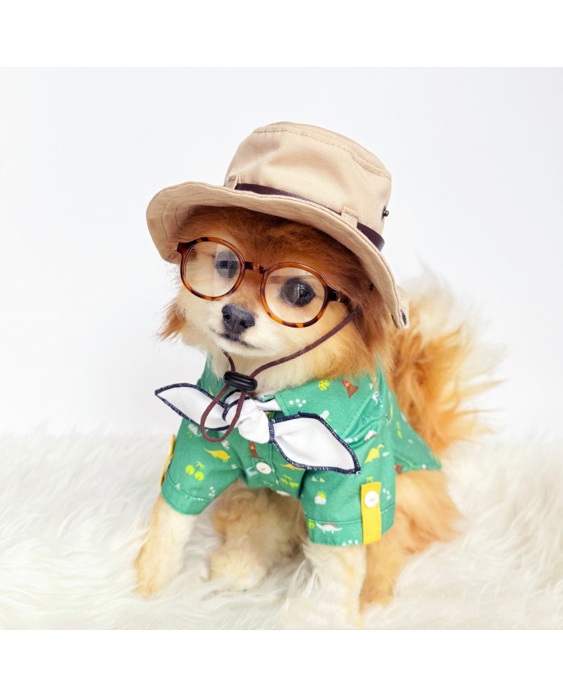 Pet Retro Detective Hat