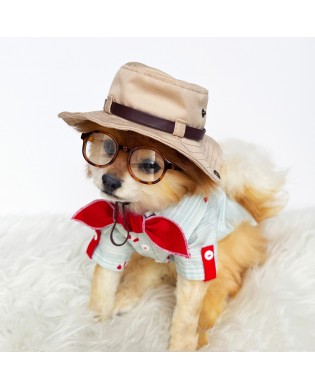 Pet Retro Detective Hat