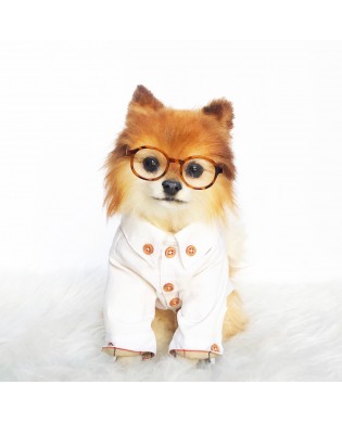 Fashion Dog Shirts