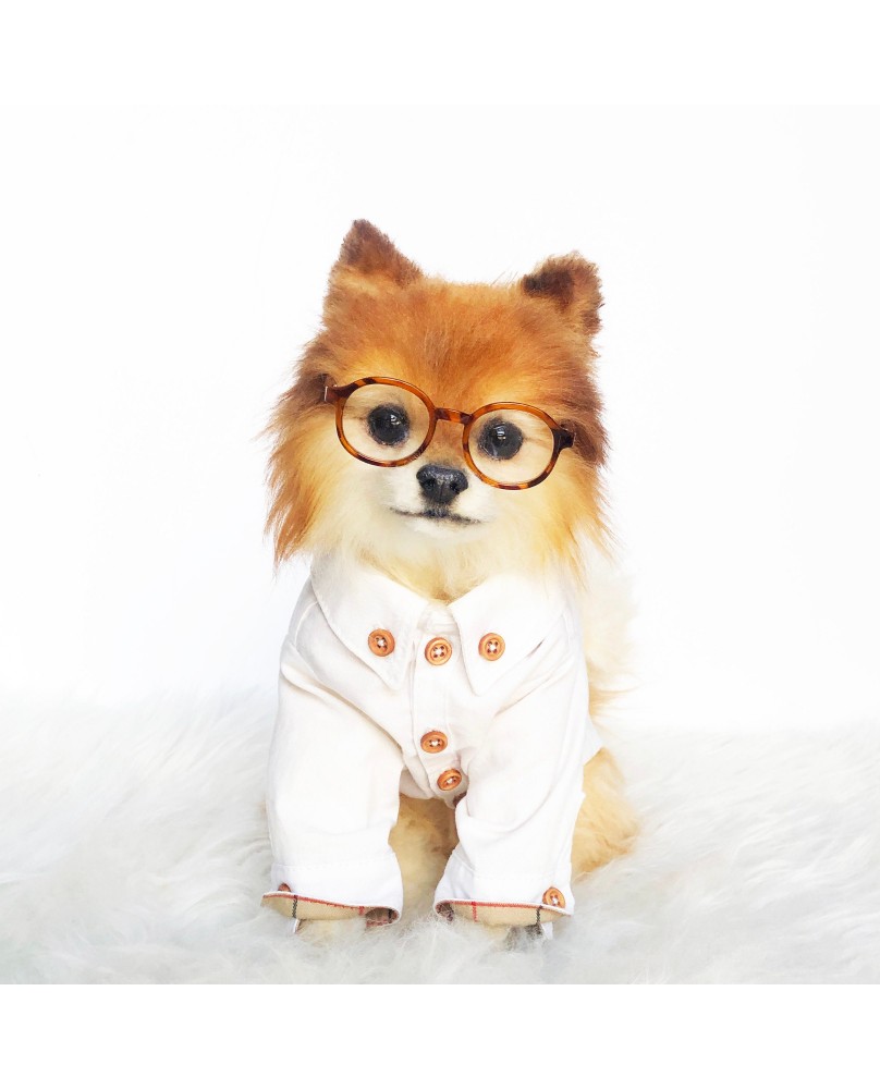 Fashion Dog Shirts