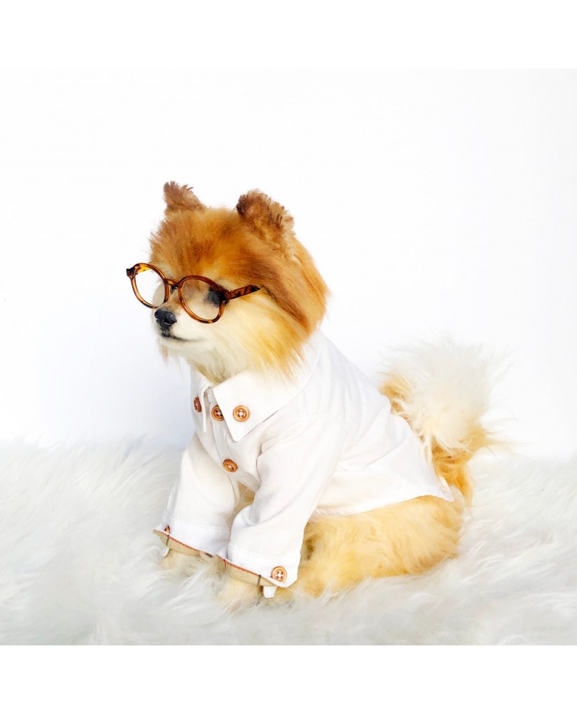 Fashion Dog Shirts