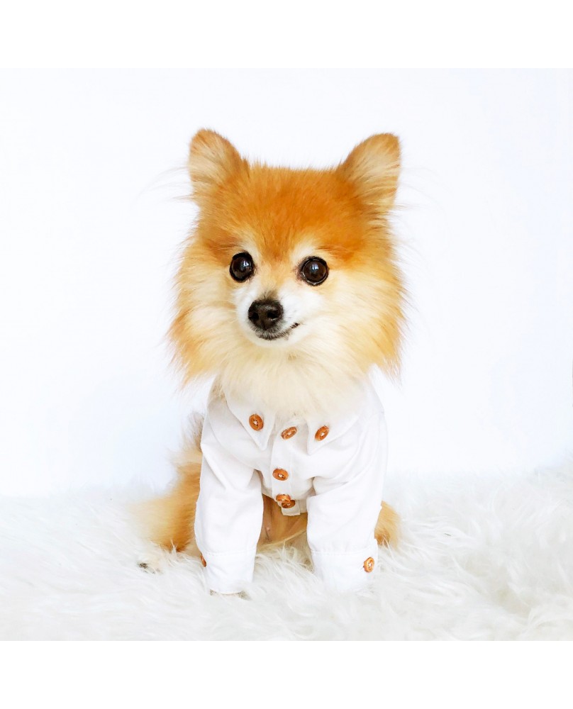 Fashion Dog Shirts