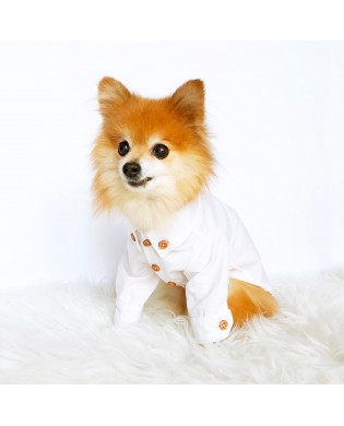Fashion Dog Shirts