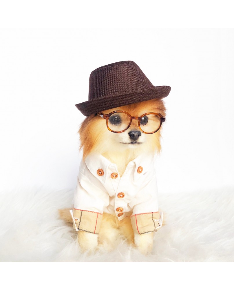 Fashion Dog Shirts