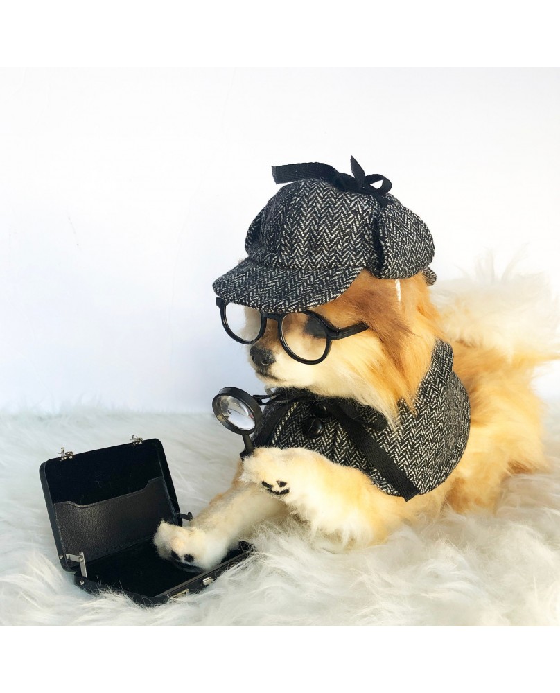 Pet Retro Detective Set